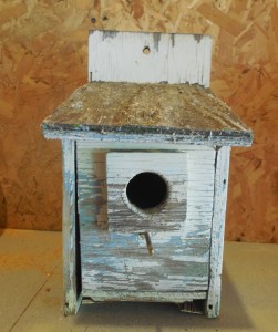 Bird House 1