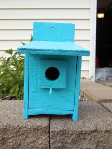 Bird House painted