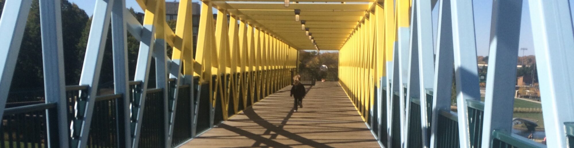 Verbisaurus Blogicus